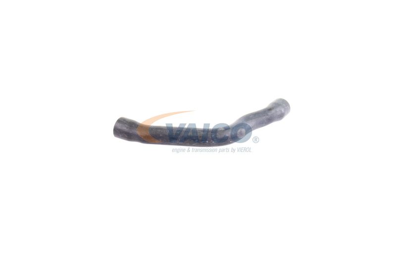 VAICO V30-2099 Radiator Hose