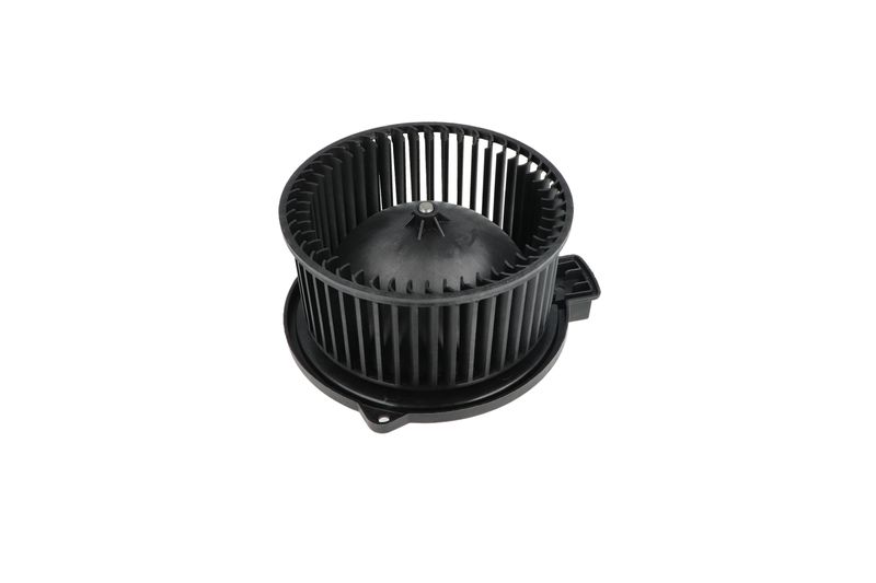 Salongipuhur, NRF 34331