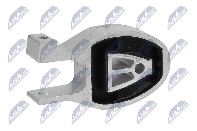 Paigutus, Mootor, NTY ZPS-FR-038