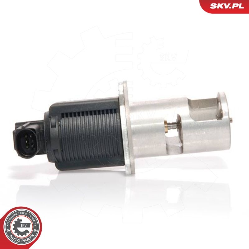 EGR-klapp, ESEN SKV 14SKV009