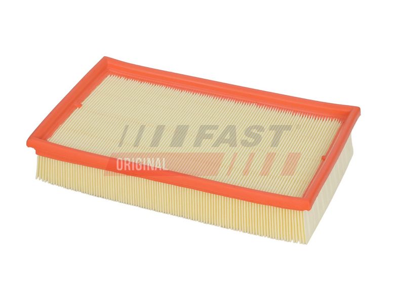 FAST Oro filtras