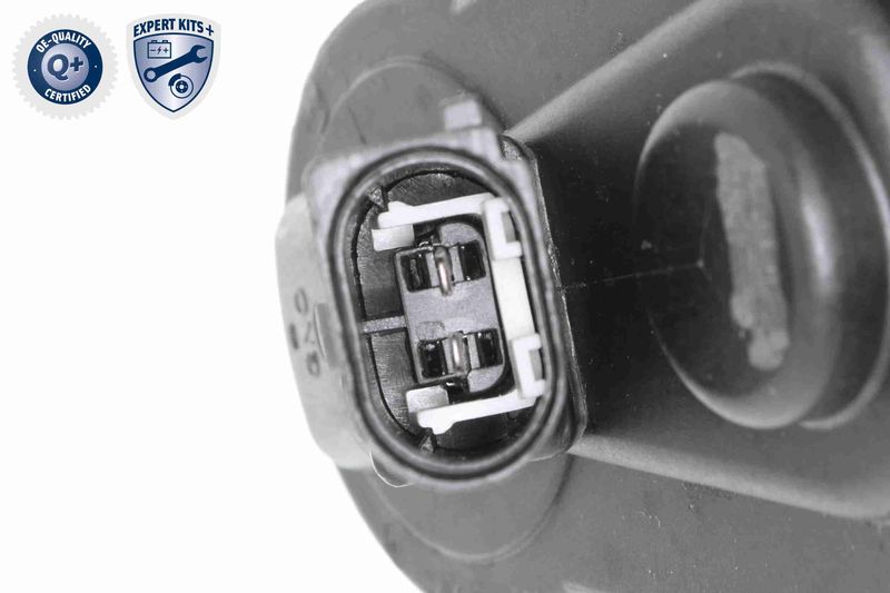 V10-77-1022_03.JPG
