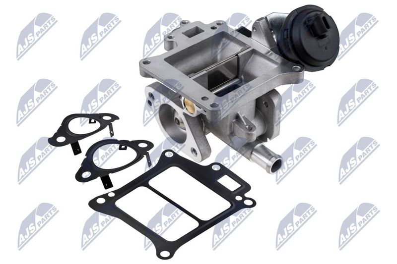 NTY EGR-VV-010 EGR Valve