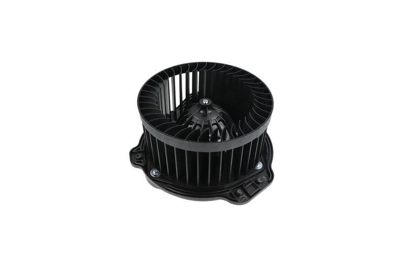 Salongipuhur, NRF 34136