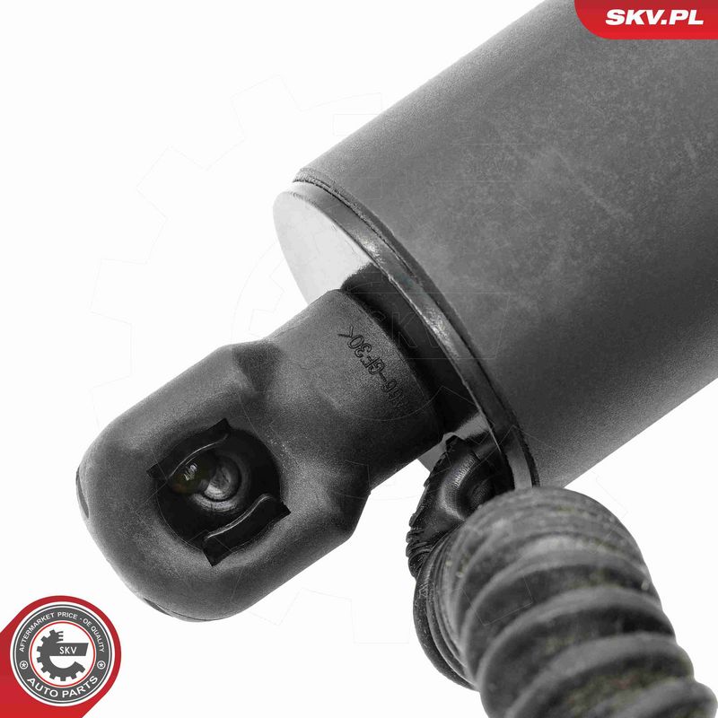 ESEN SKV 52SKV272 Electric Motor, tailgate