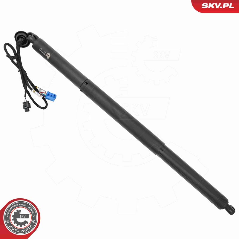 ESEN SKV 52SKV998 Electric Motor, tailgate