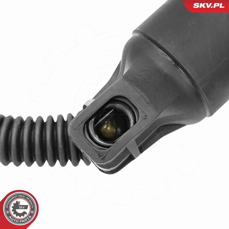 ESEN SKV 52SKV234 Electric Motor, tailgate