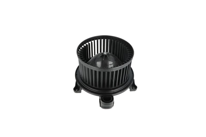 Salongipuhur, NRF 34365