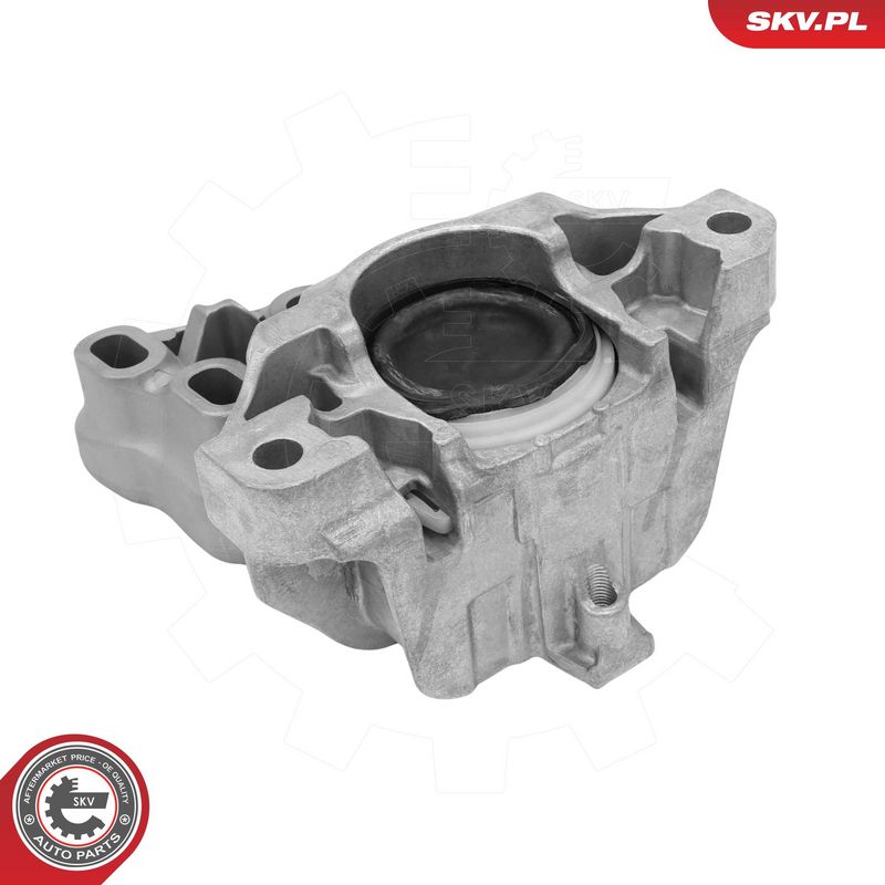 This part match OEM code: A246 240 06 17
