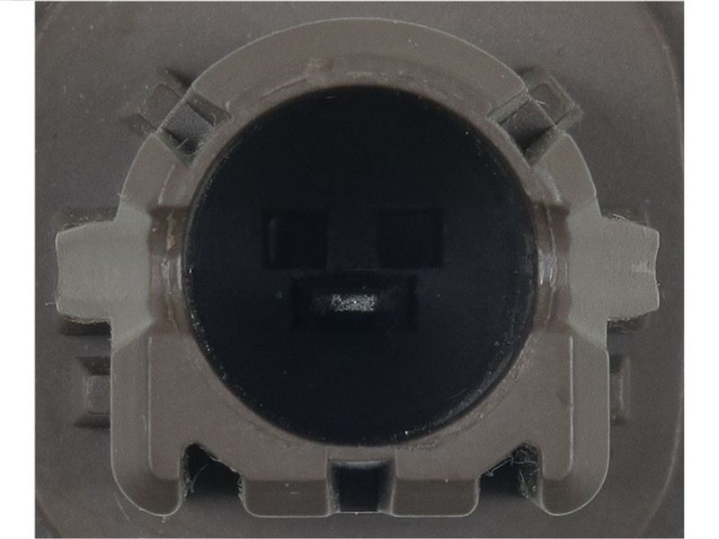 406624.JPG