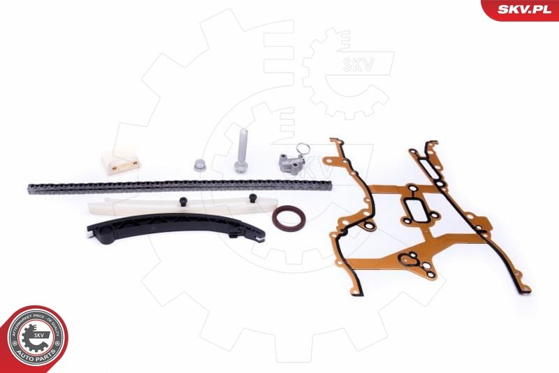 ESEN SKV 21SKV238 Timing Chain Kit