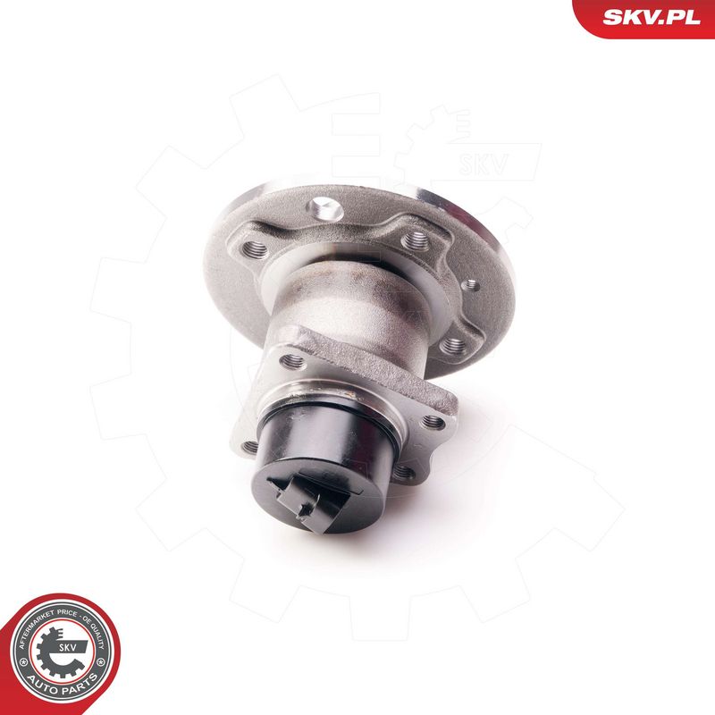 Rattalaagrikomplekt, ESEN SKV 29SKV007