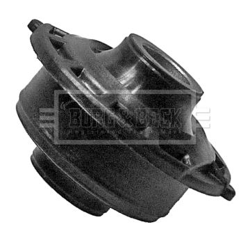 BSK6404_211404.JPG