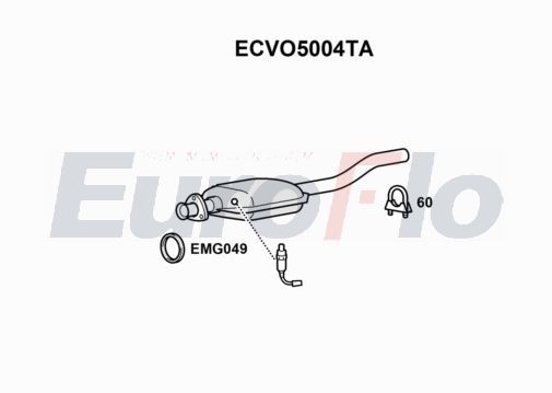 ecvo5004ta.JPG