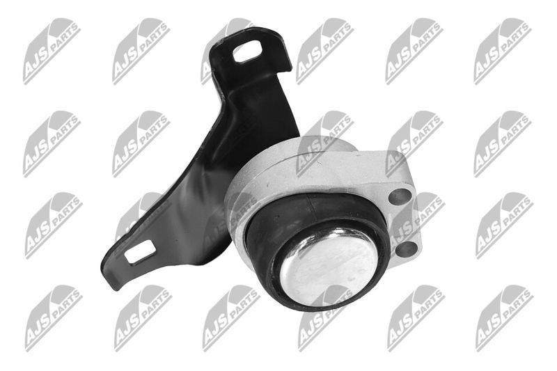 Paigutus, Mootor, NTY ZPS-FR-011