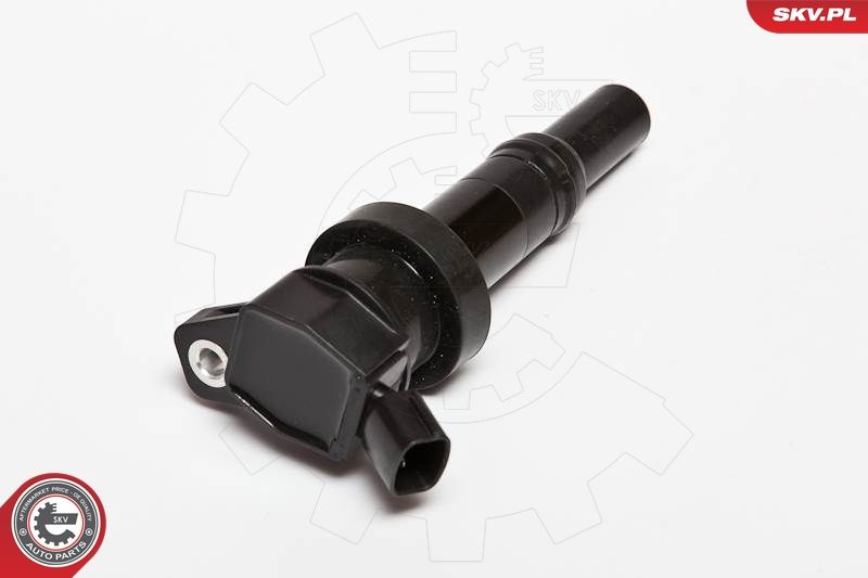 ESEN SKV 03SKV204 Ignition Coil