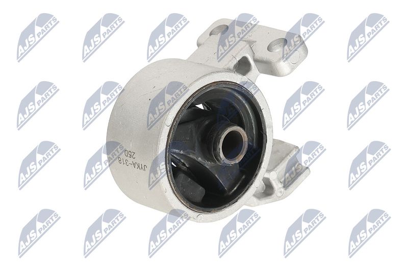 Paigutus, Mootor, NTY ZPS-KA-318