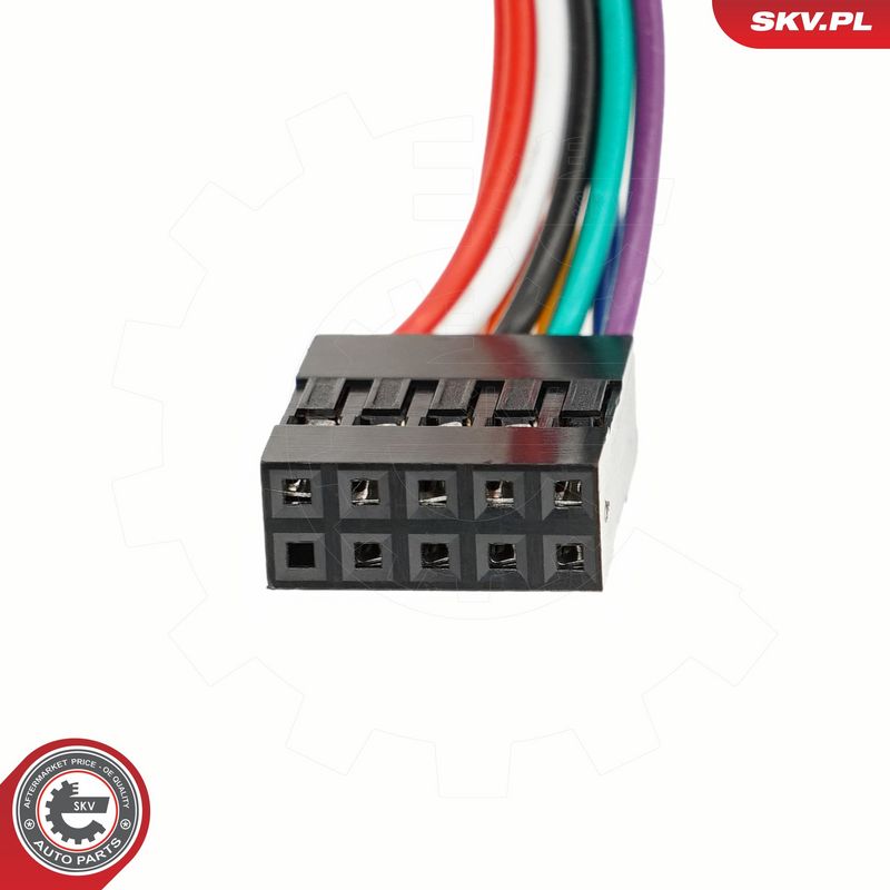 Käigukanginupp, ESEN SKV 63SKV202