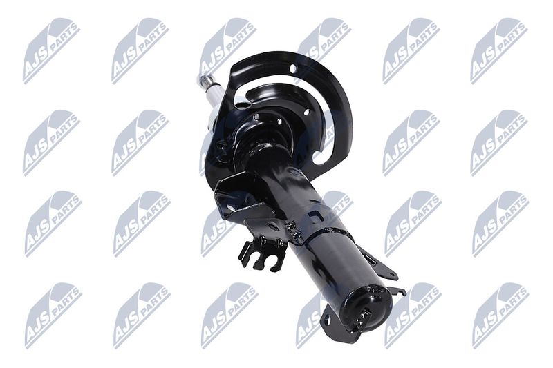 Amort, NTY A-CH-083