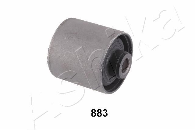 GOM-883_1.JPG