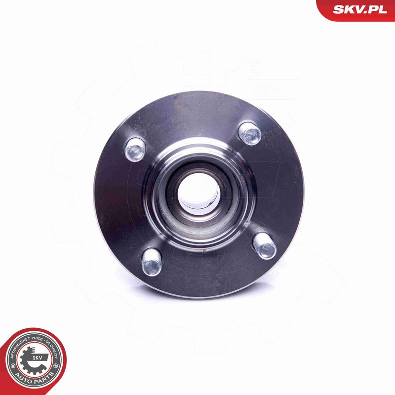 ESEN SKV 29SKV194 Wheel Bearing Kit