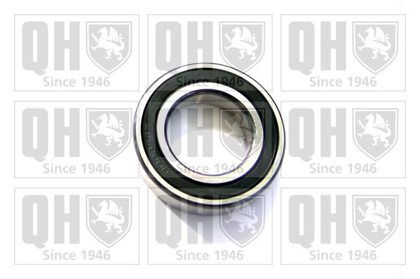 QH_XB9935.JPG