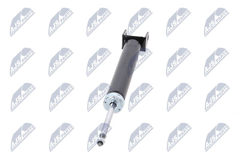 Amort, NTY A-CH-078
