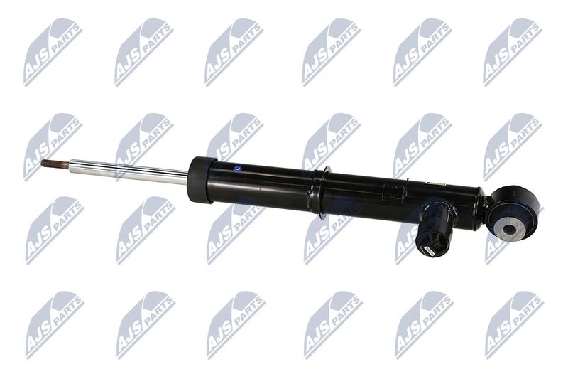 Amort, NTY A-LR-034