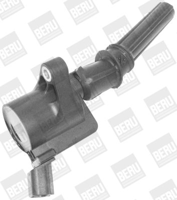 BorgWarner (BERU) ZS409 Ignition Coil