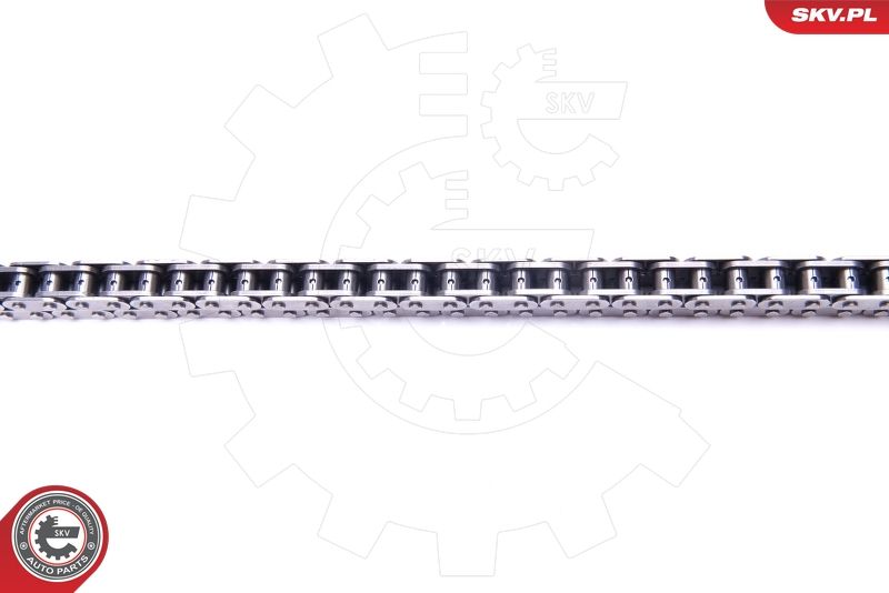 ESEN SKV 21SKV221 Timing Chain Kit