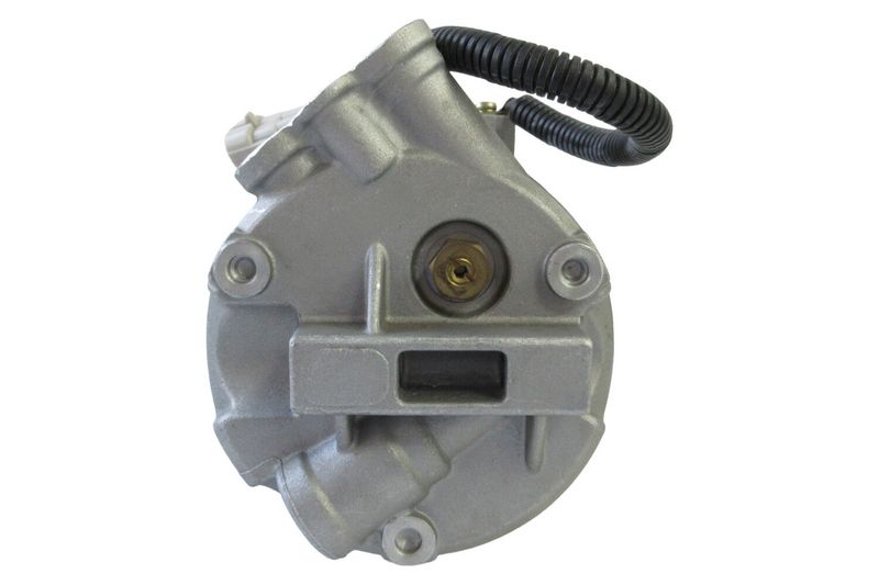 366203631_BACK_TD_1.JPG