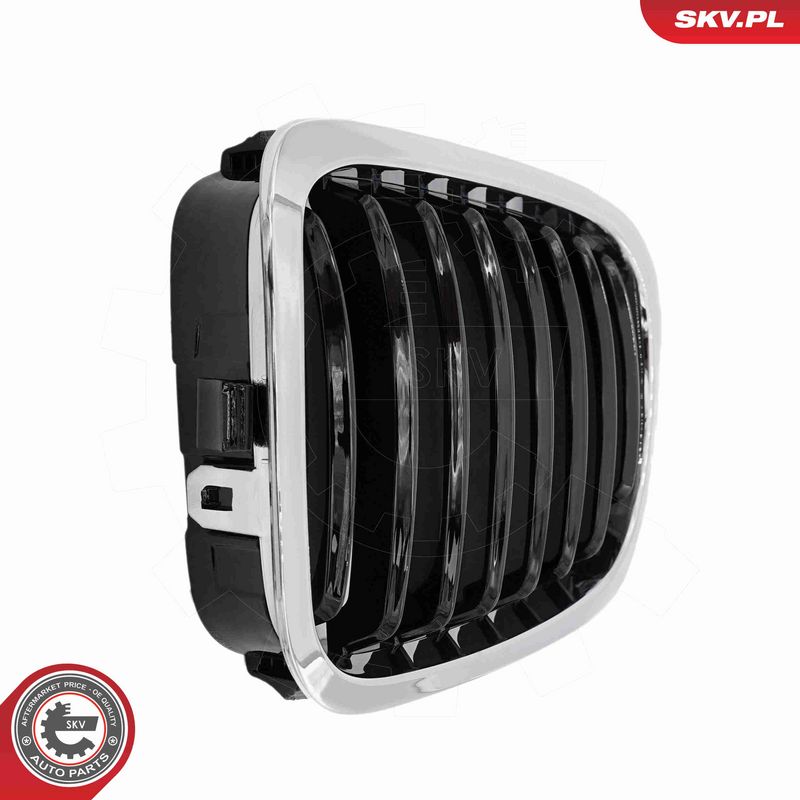 ESEN SKV 66SKV056 Radiator Grille