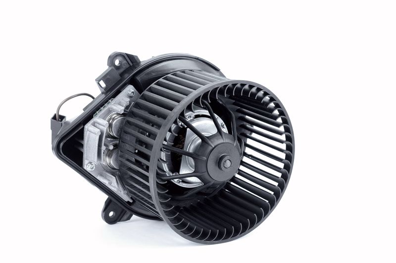 Salongipuhur, NISSENS 87050