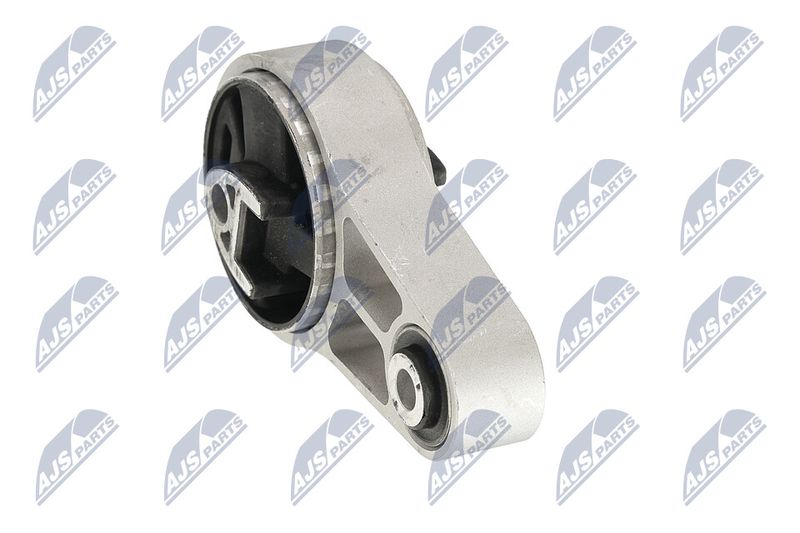 Paigutus, Mootor, NTY ZPS-BM-039