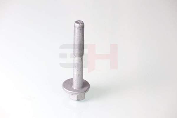 GH GH-399901 Camber Correction Screw