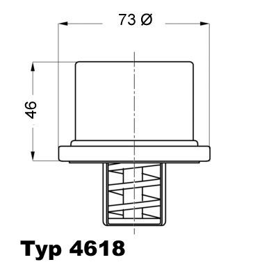 Termostat, chladivo 4618.82