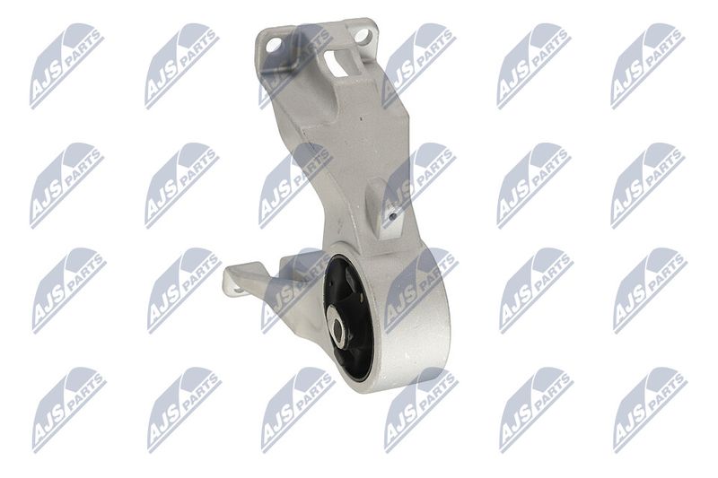 Paigutus, Mootor, NTY ZPS-CH-105