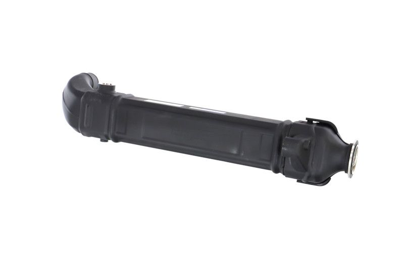 REMANTE 010-001-000025R EGR Module