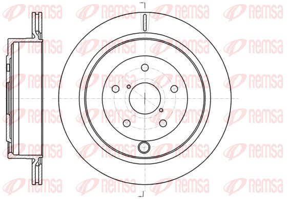 REM61042-10-MODEL.BMP