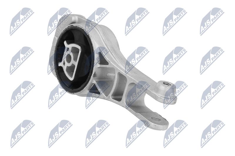 Paigutus, Mootor, NTY ZPS-PL-080