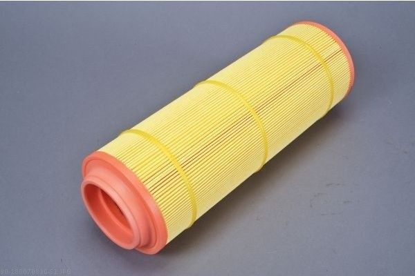 AUTOMEGA 180070810 Air Filter