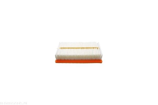 AUTOMEGA 250051510 Air Filter