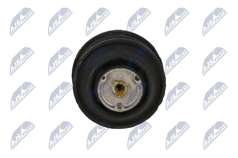 Paigutus, Mootor, NTY ZPS-ME-083