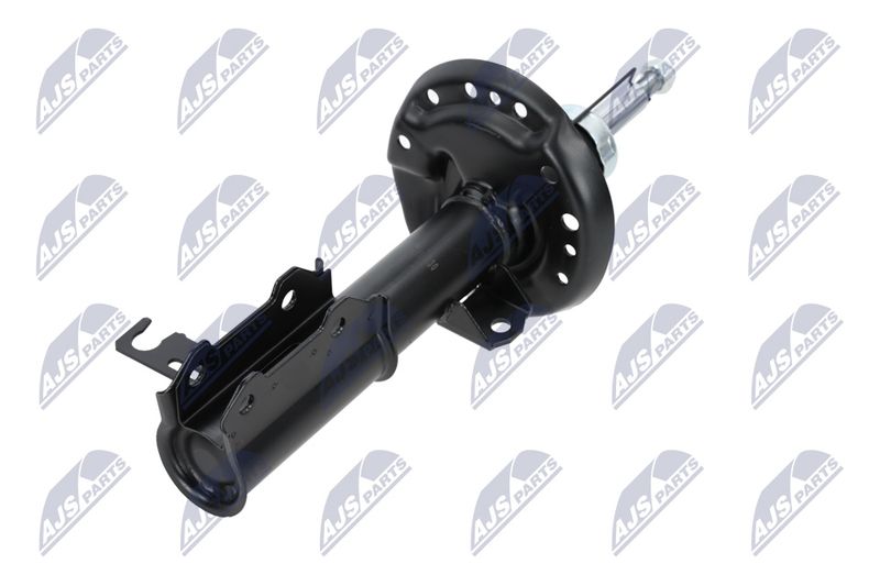 Amort, NTY A-PL-029