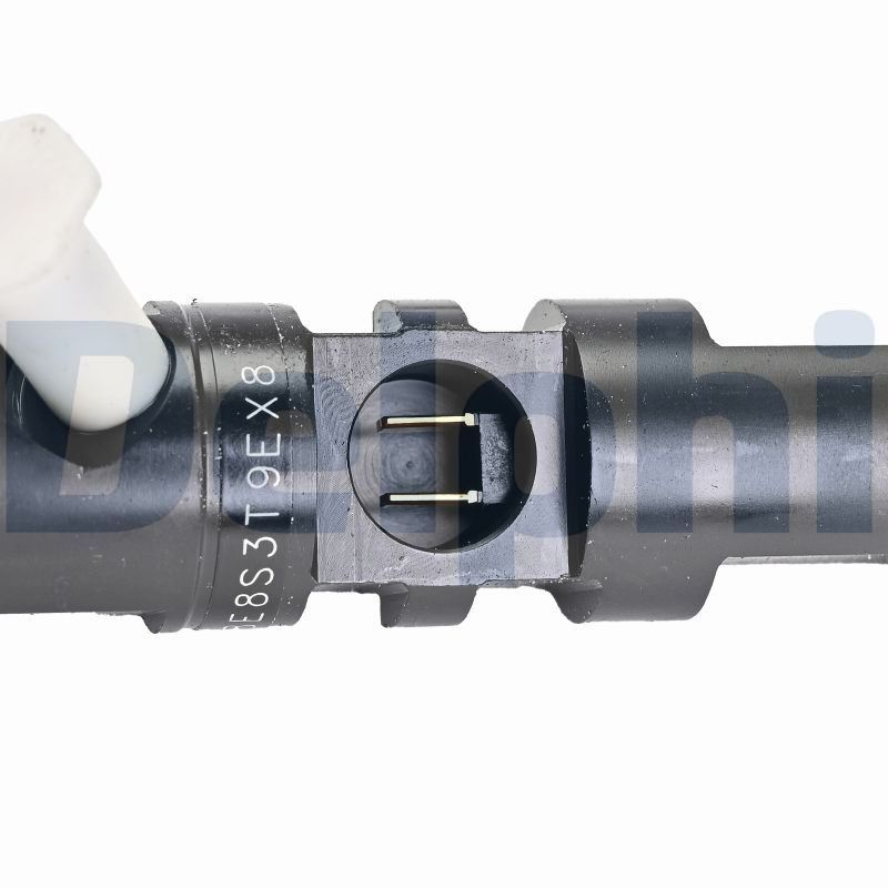 DELPHI R03902D-12B1 Injector