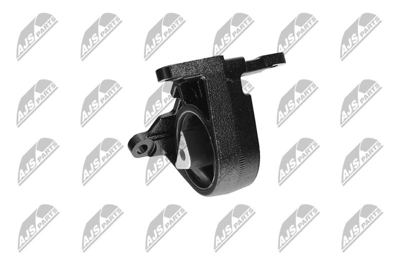 Paigutus, Mootor, NTY ZPS-CH-087