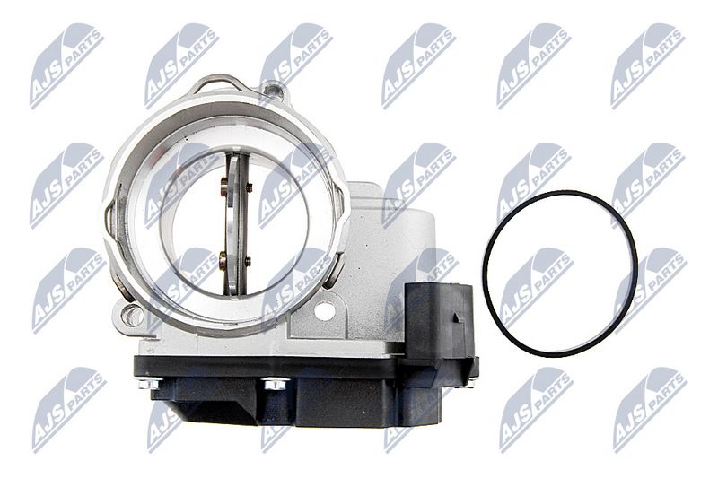 etb-vw-018_3-wm.JPG