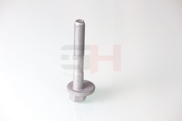 GH GH-399901 Camber Correction Screw