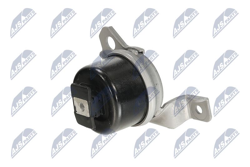 Paigutus, Mootor, NTY ZPS-LR-003