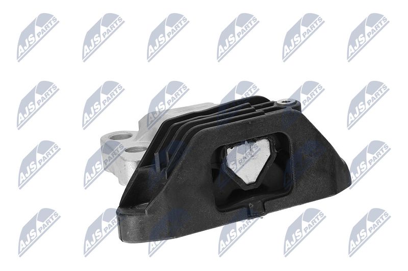 Paigutus, Mootor, NTY ZPS-CH-165